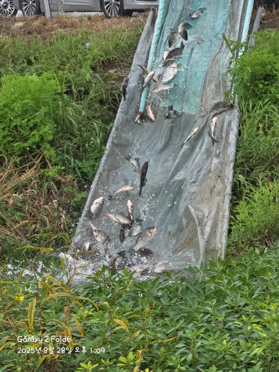 20250828_130943.jpg