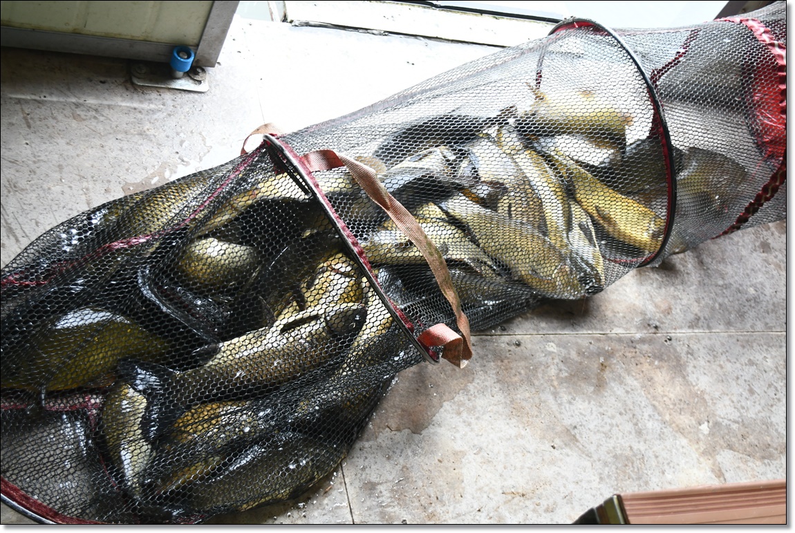 DSC_4605.JPG