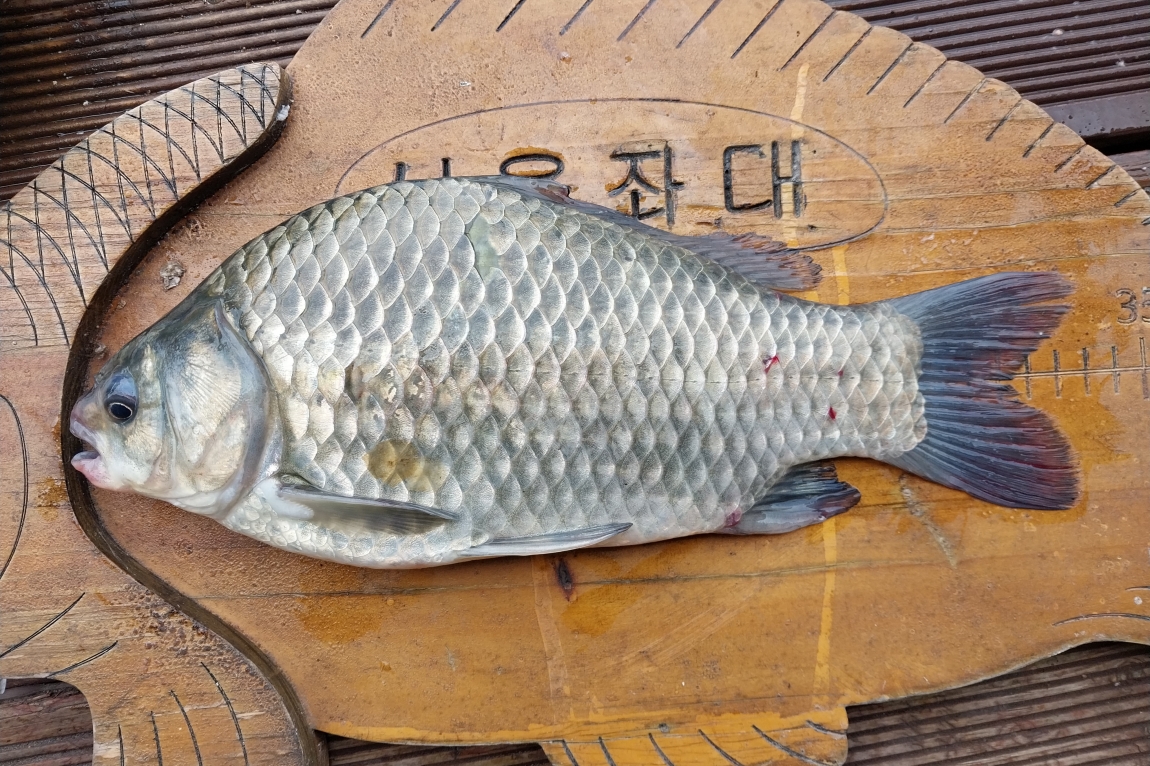 KakaoTalk_20240827_082451128_09.jpg