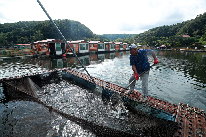 AE2I8722.jpg