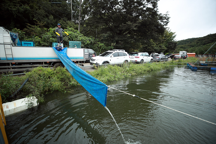 AE2I0747.jpg
