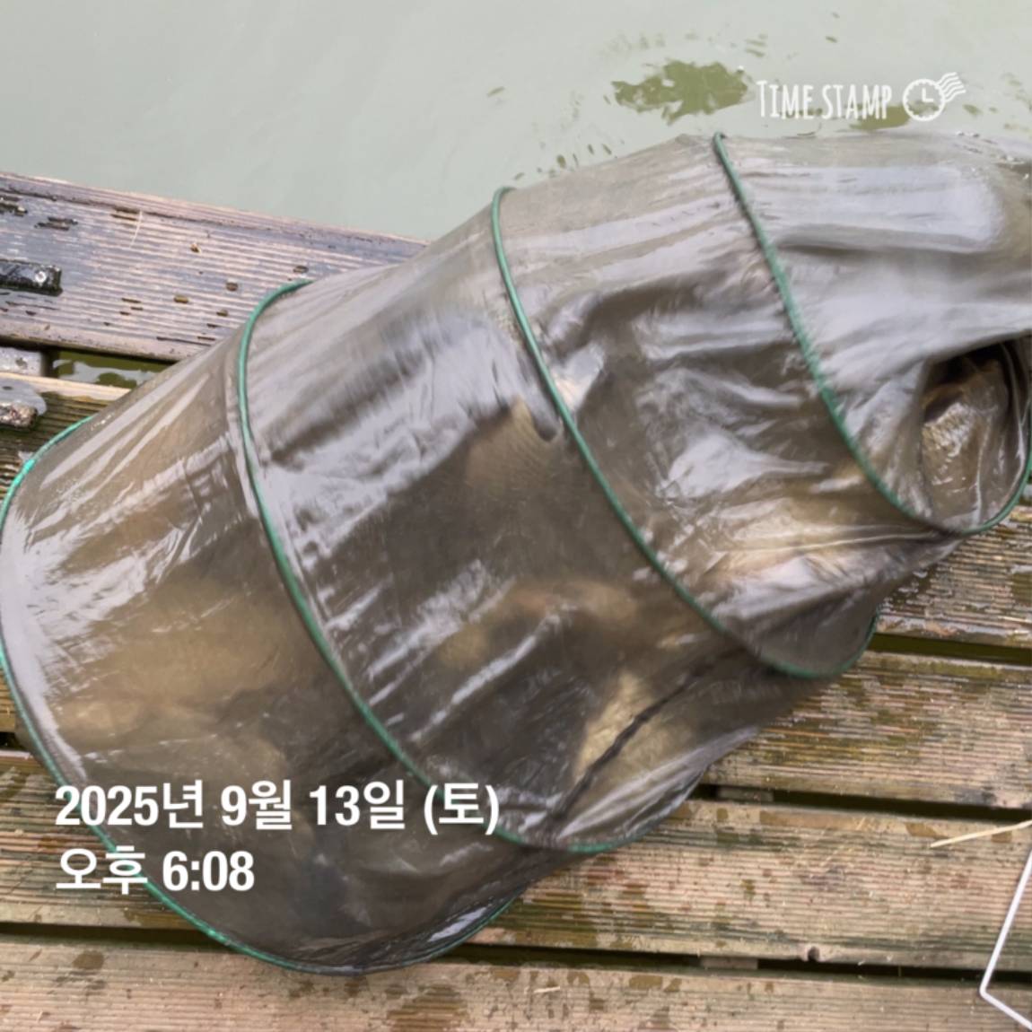 KakaoTalk_20250914_144133269_04.jpg