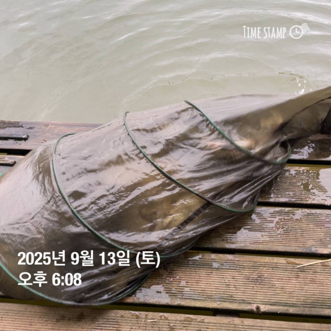 KakaoTalk_20250914_144133269_03.jpg