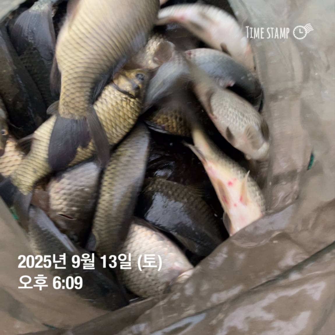 KakaoTalk_20250914_144133269_05.jpg