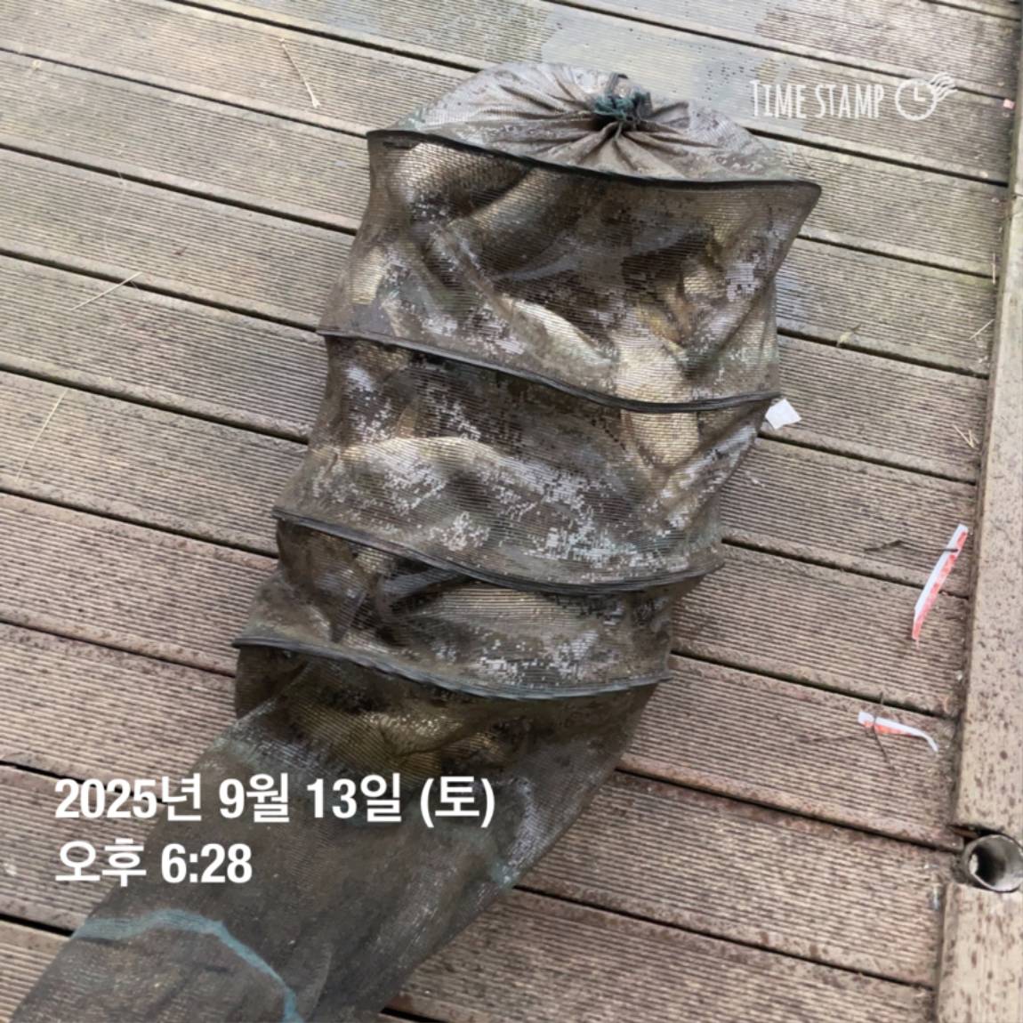 KakaoTalk_20250914_144133269_06.jpg