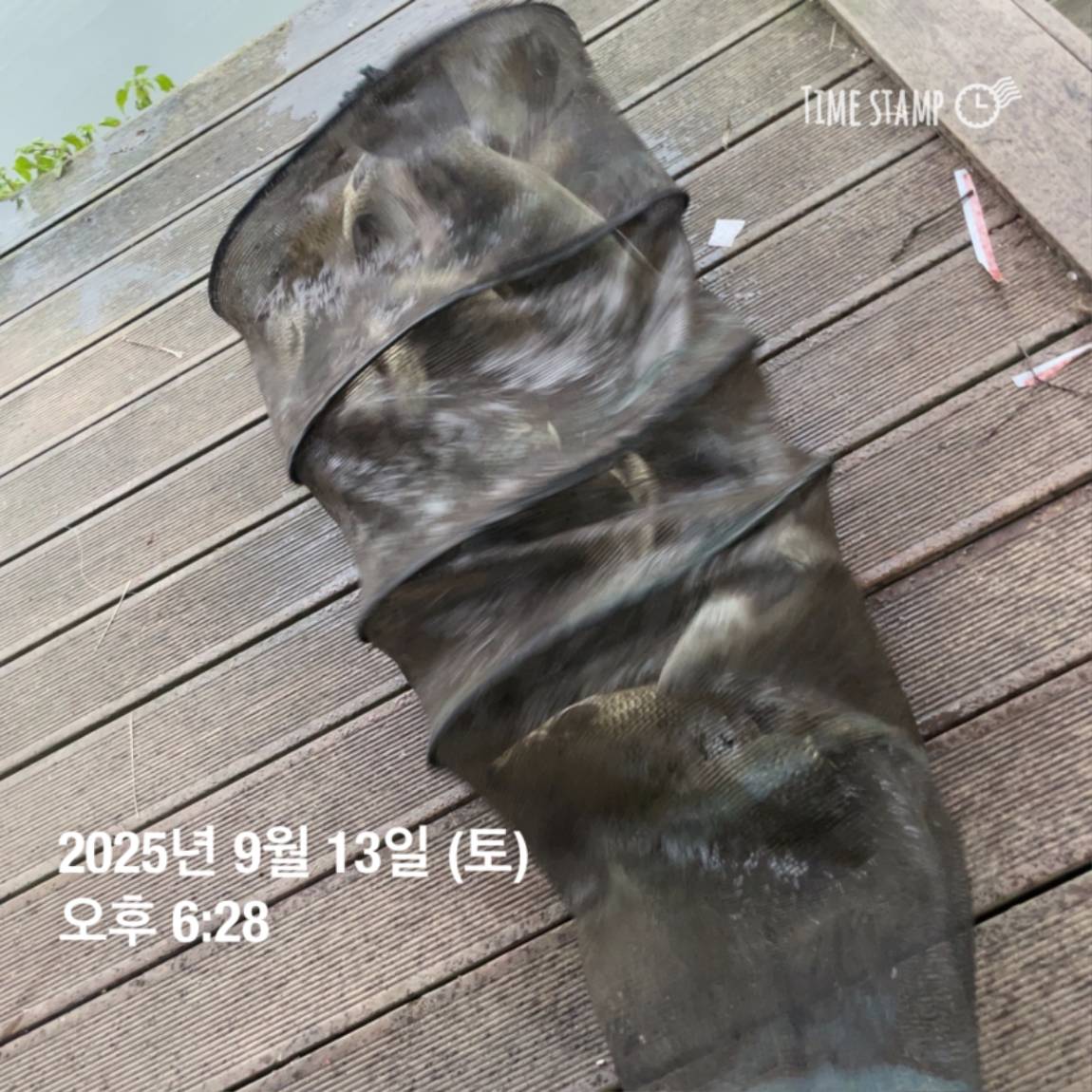 KakaoTalk_20250914_144133269_08.jpg