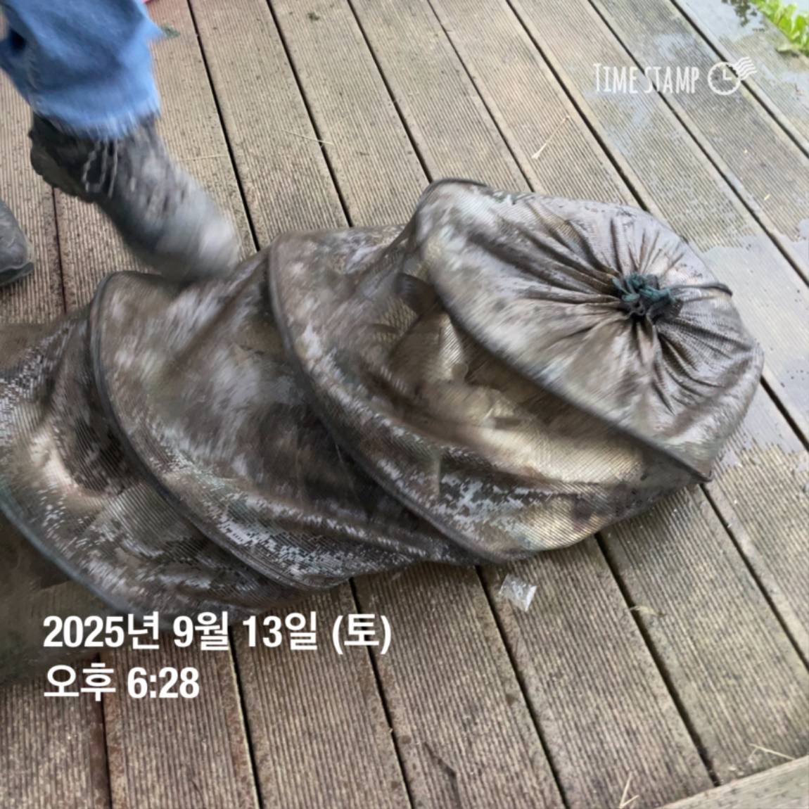KakaoTalk_20250914_144133269_07.jpg
