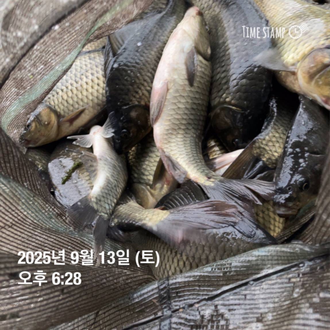 KakaoTalk_20250914_144133269_09.jpg