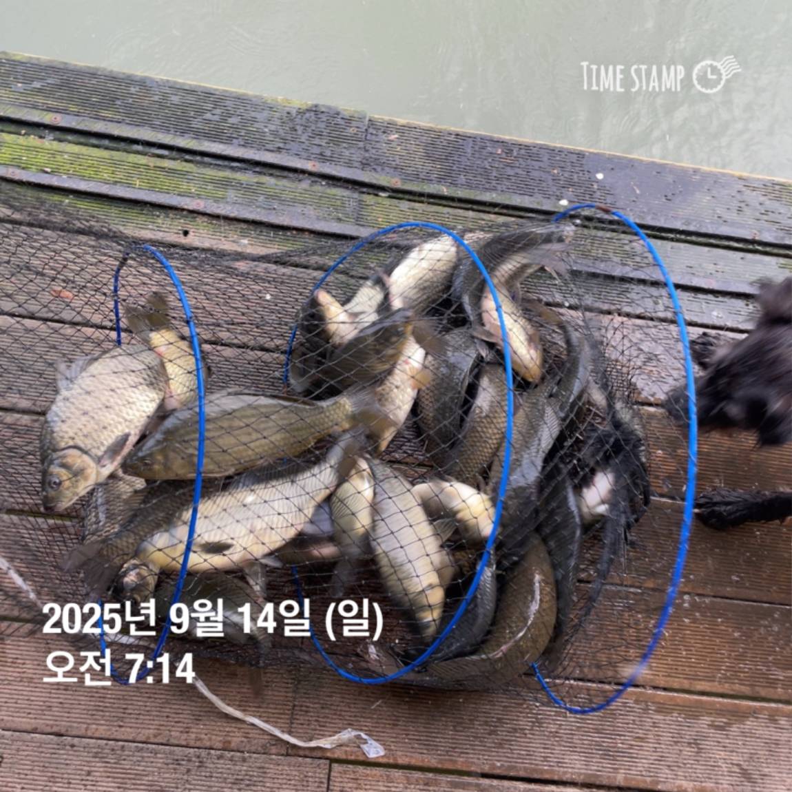KakaoTalk_20250914_144133269_12.jpg