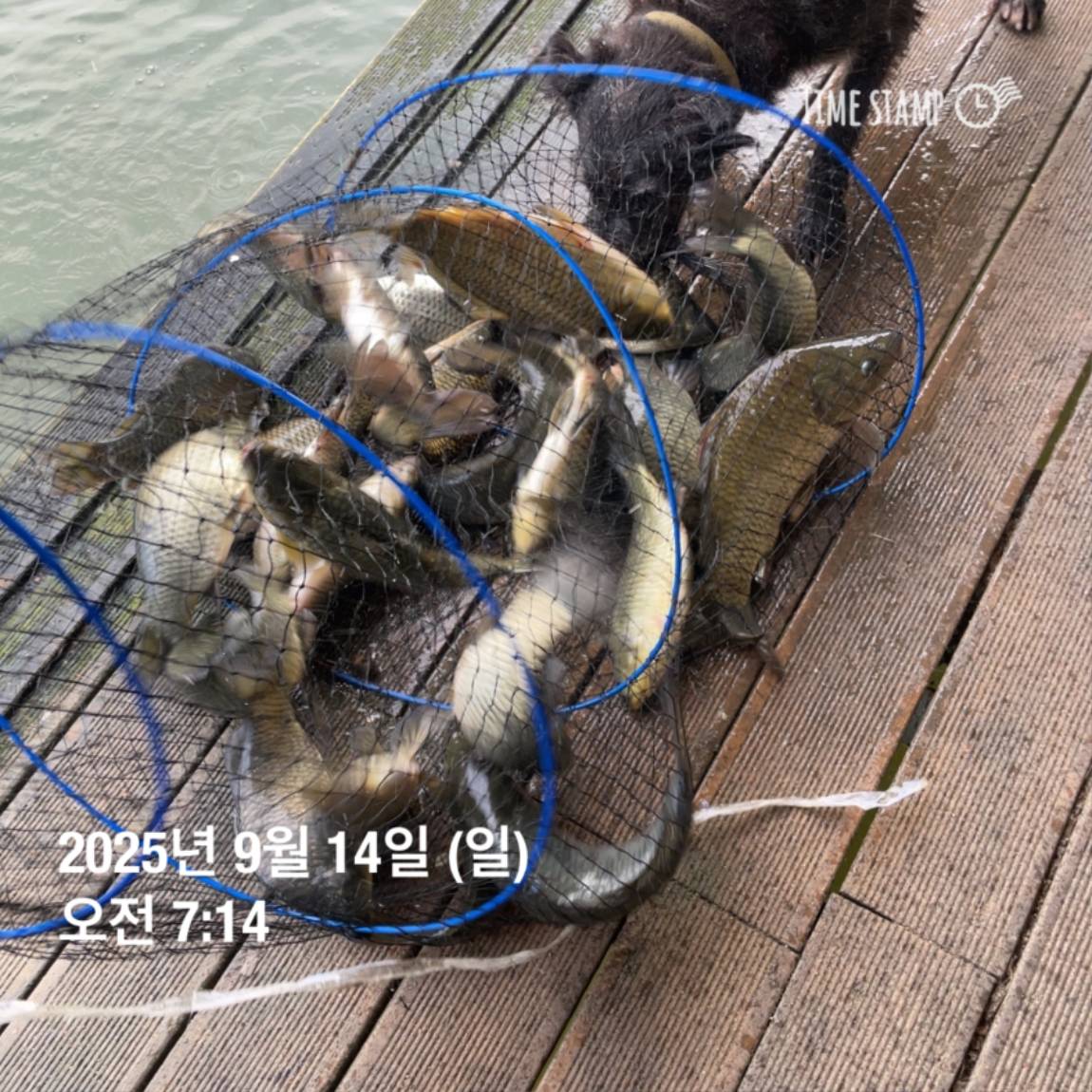 KakaoTalk_20250914_144133269_11.jpg