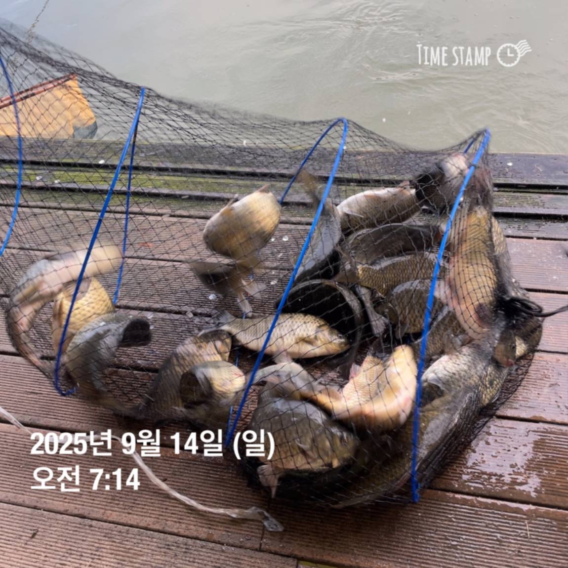 KakaoTalk_20250914_144133269_13.jpg