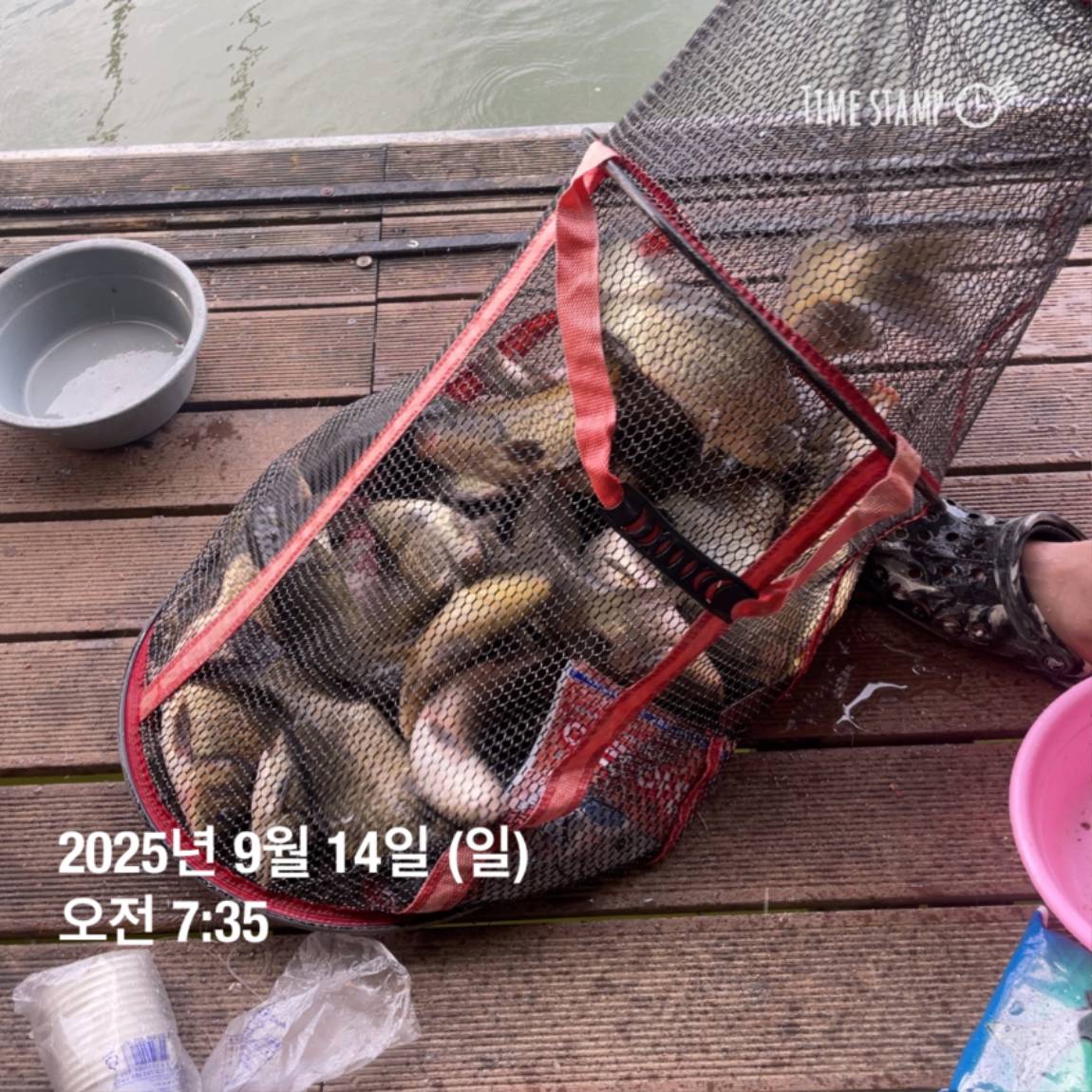 KakaoTalk_20250914_144133269_17.jpg