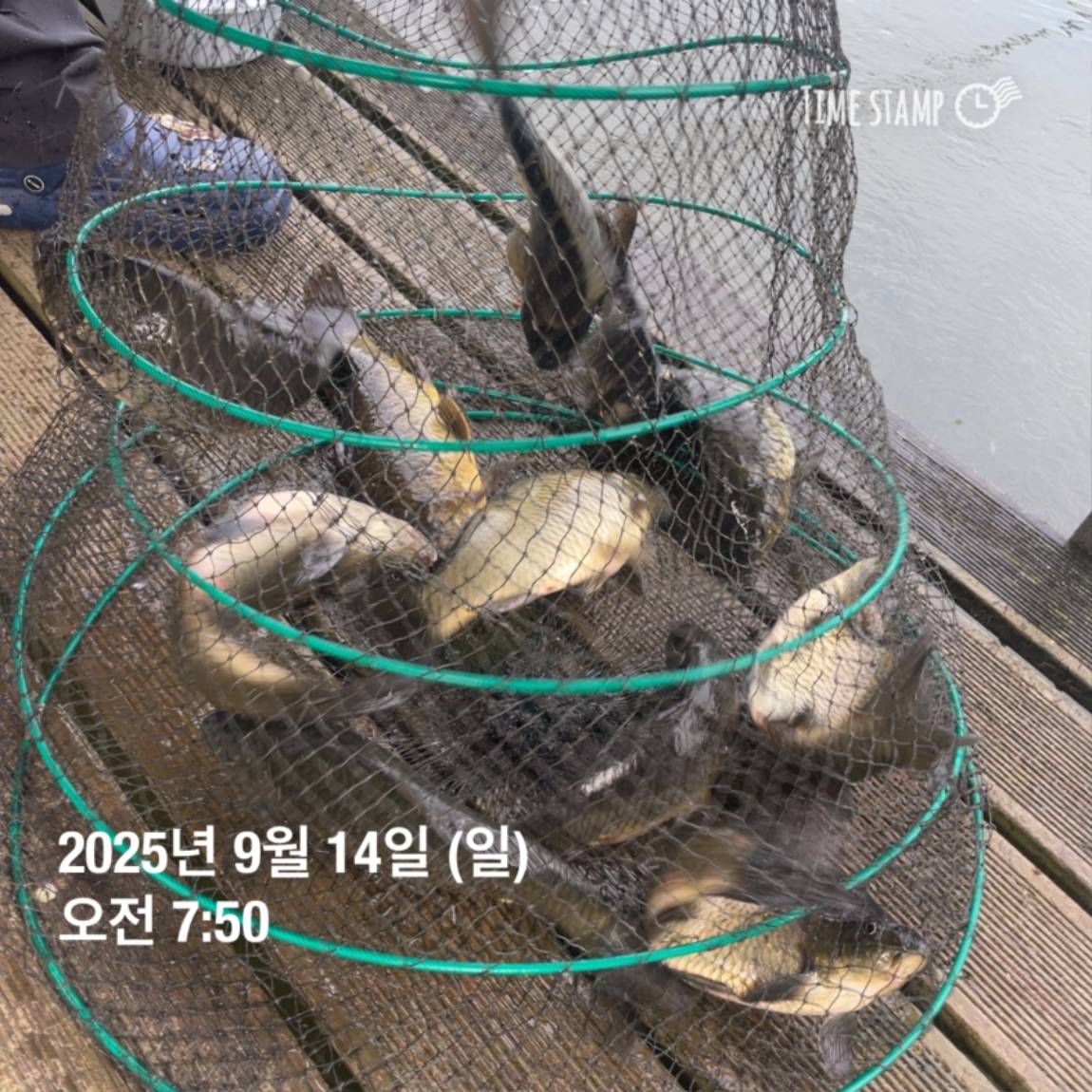 KakaoTalk_20250914_144133269_20.jpg