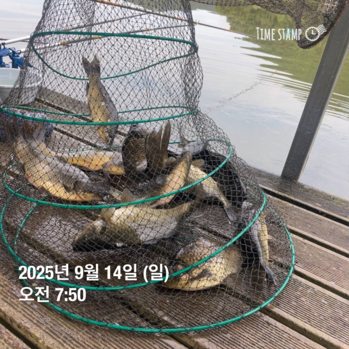 KakaoTalk_20250914_144133269_21.jpg