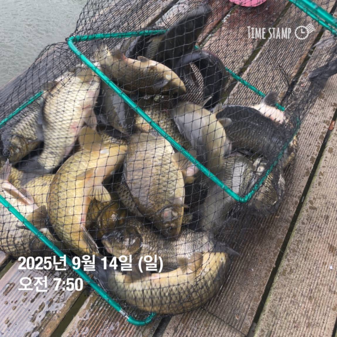 KakaoTalk_20250914_144133269_24.jpg