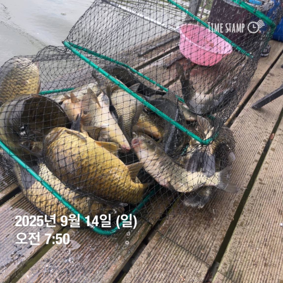 KakaoTalk_20250914_144133269_23.jpg