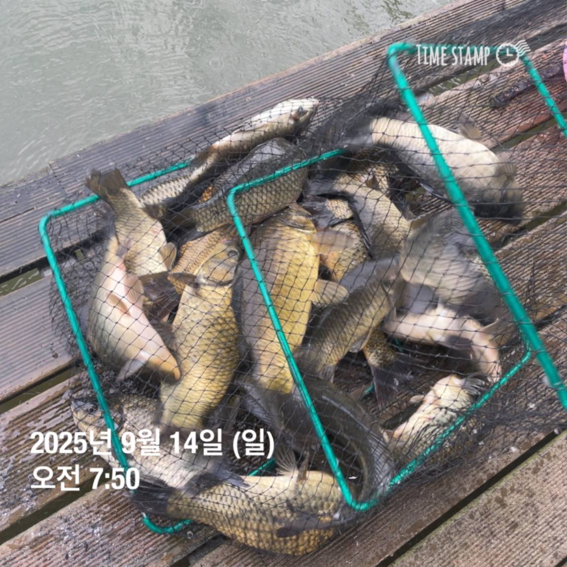 KakaoTalk_20250914_144133269_25.jpg