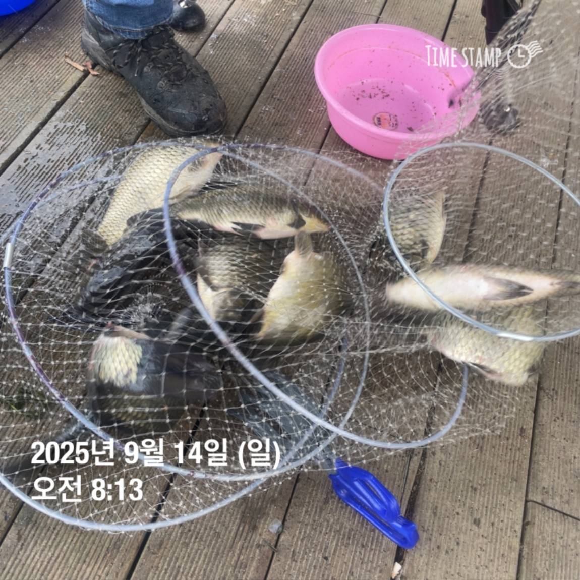 KakaoTalk_20250914_144133269_29.jpg