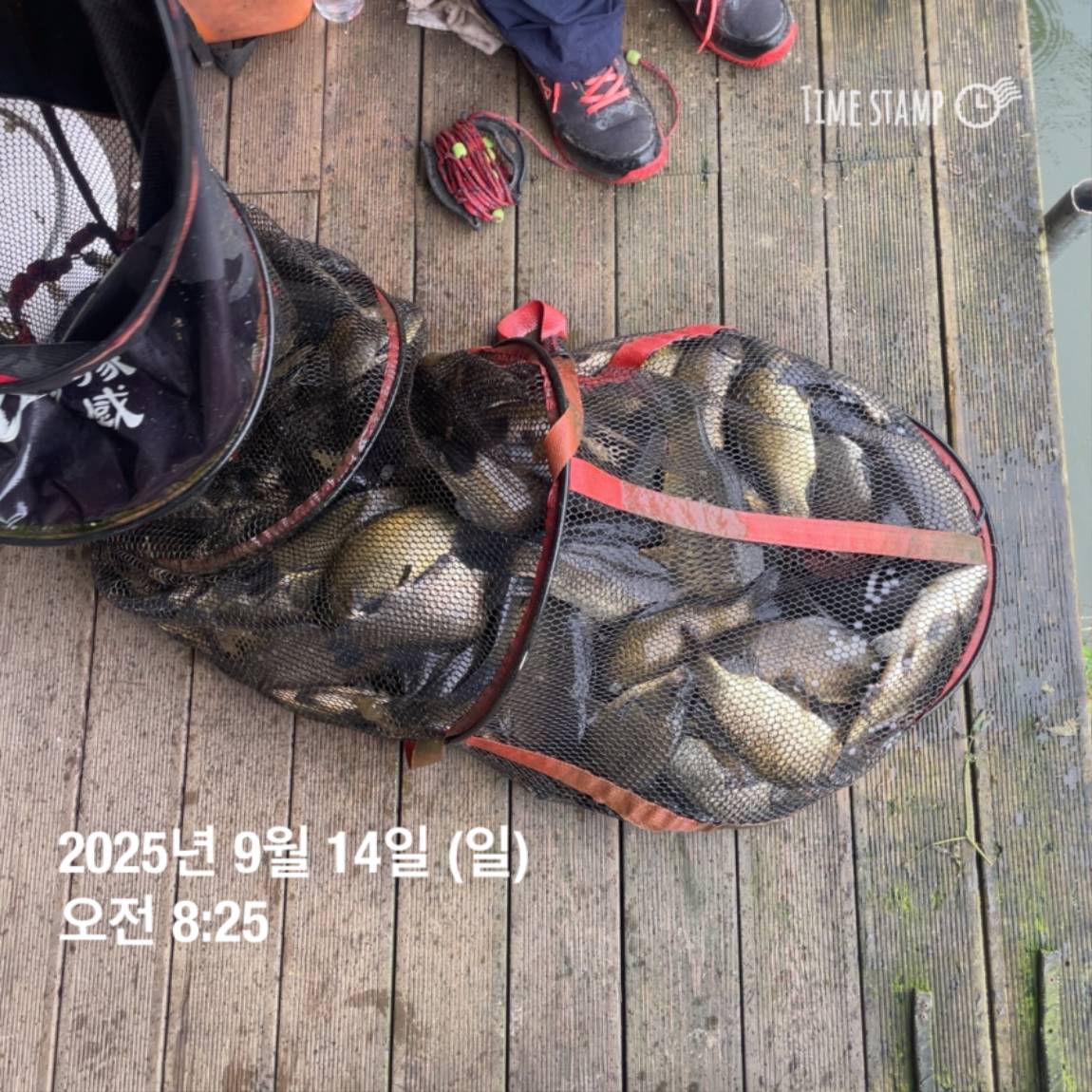 KakaoTalk_20250914_144213440_04.jpg