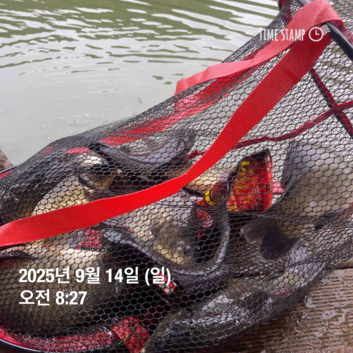 KakaoTalk_20250914_144213440_07.jpg
