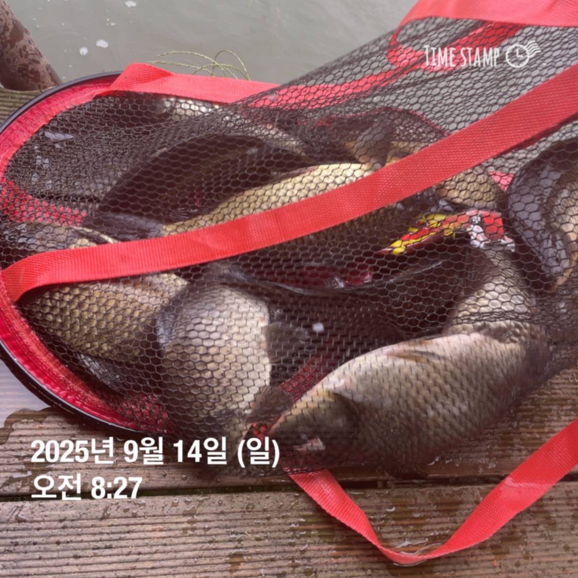 KakaoTalk_20250914_144213440_08.jpg