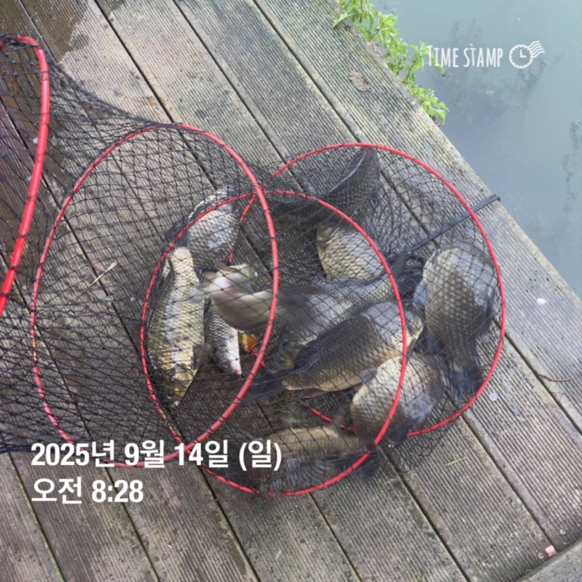 KakaoTalk_20250914_144213440_09.jpg