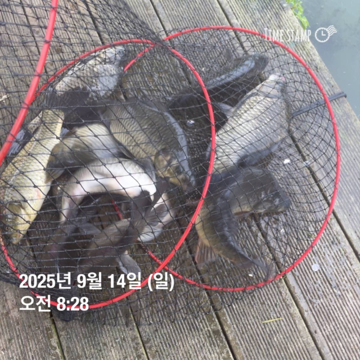 KakaoTalk_20250914_144213440_10.jpg