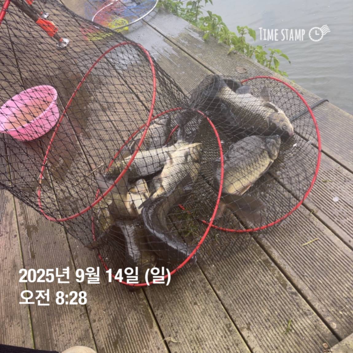 KakaoTalk_20250914_144213440_11.jpg