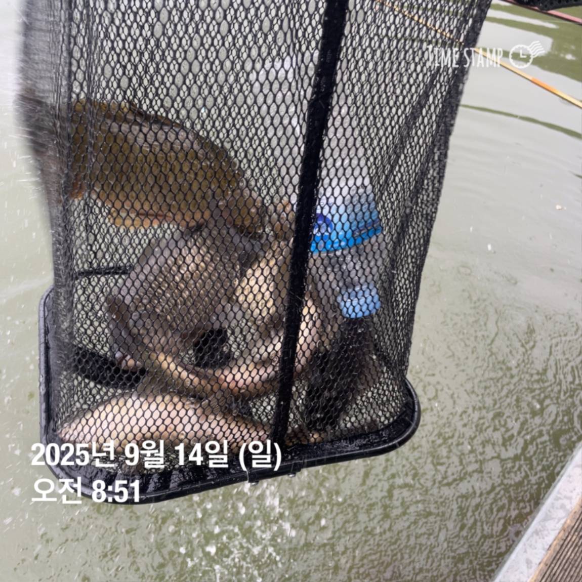 KakaoTalk_20250914_144213440_13.jpg