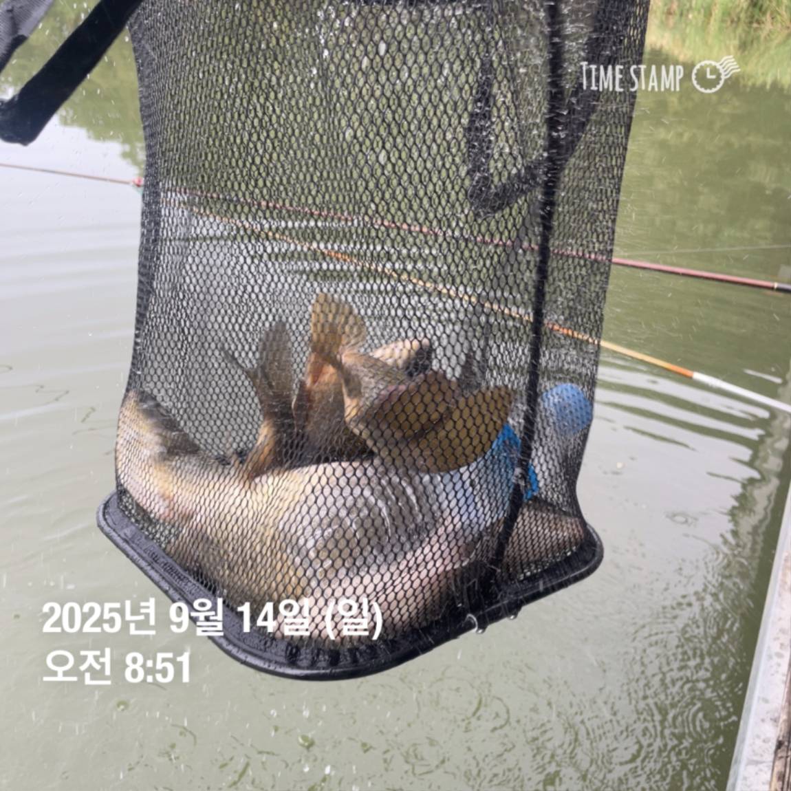 KakaoTalk_20250914_144213440_15.jpg