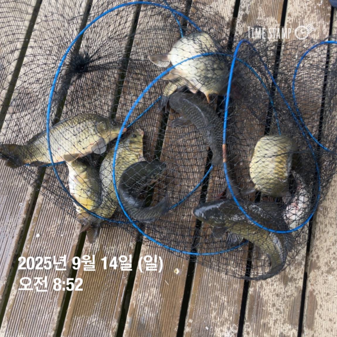 KakaoTalk_20250914_144213440_17.jpg