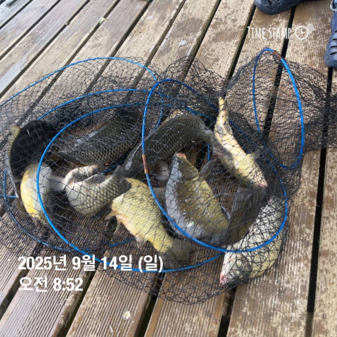 KakaoTalk_20250914_144213440_18.jpg