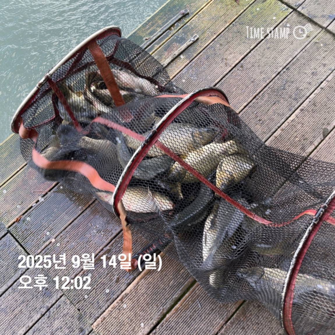 KakaoTalk_20250914_144213440_21.jpg