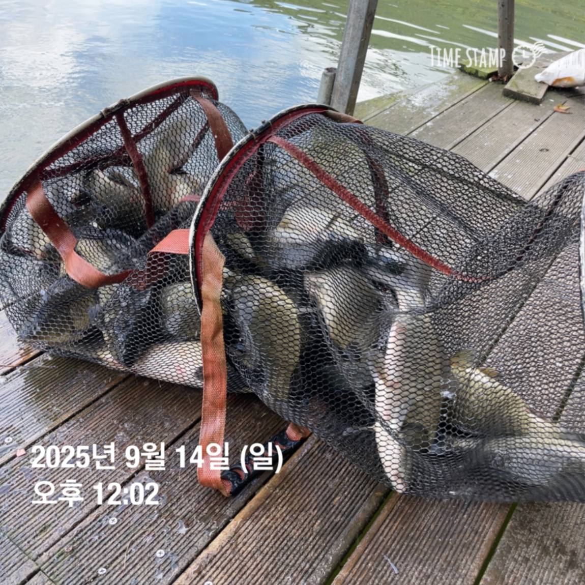 KakaoTalk_20250914_144213440_20.jpg