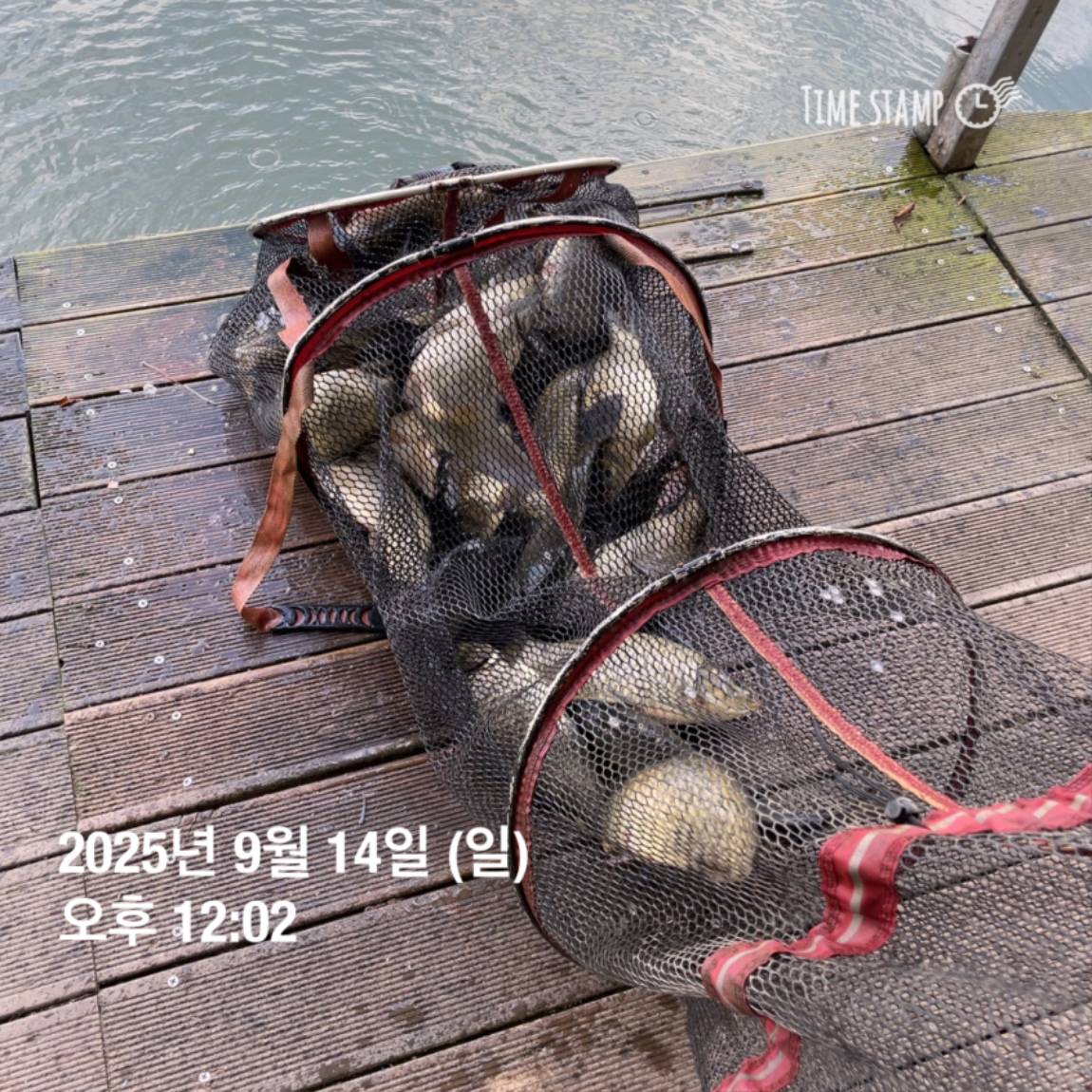KakaoTalk_20250914_144213440_22.jpg
