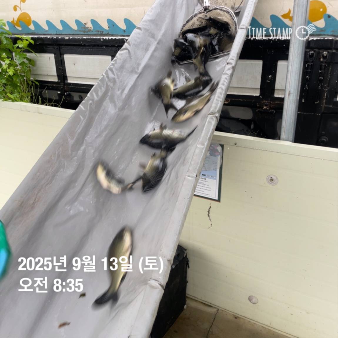 KakaoTalk_20250914_144213440_25.jpg