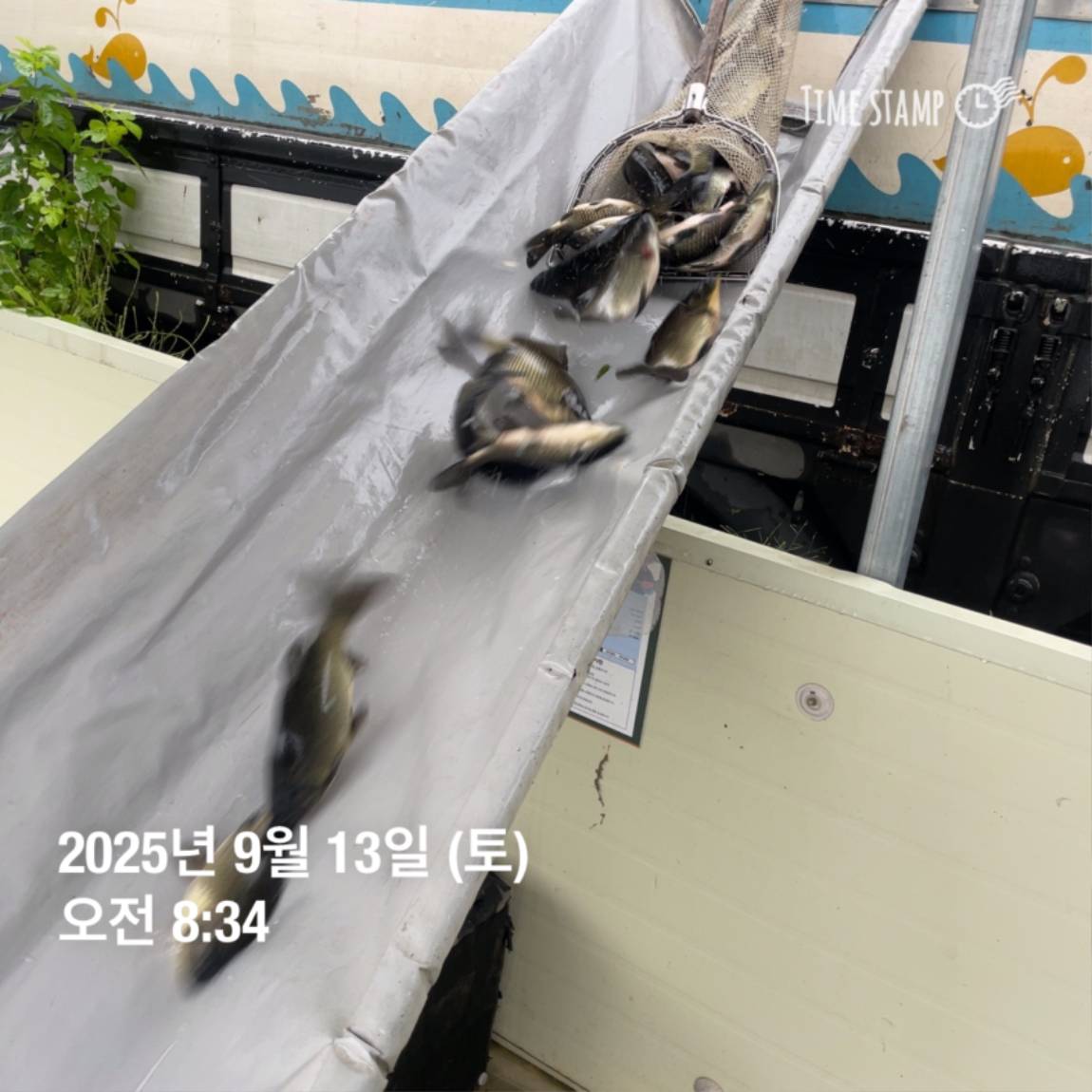 KakaoTalk_20250914_144213440_24.jpg