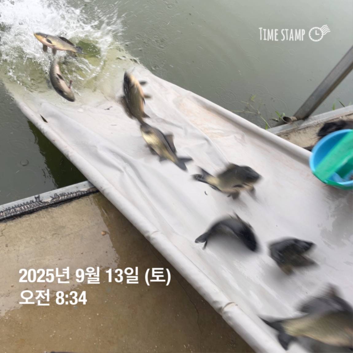 KakaoTalk_20250914_144213440_27.jpg