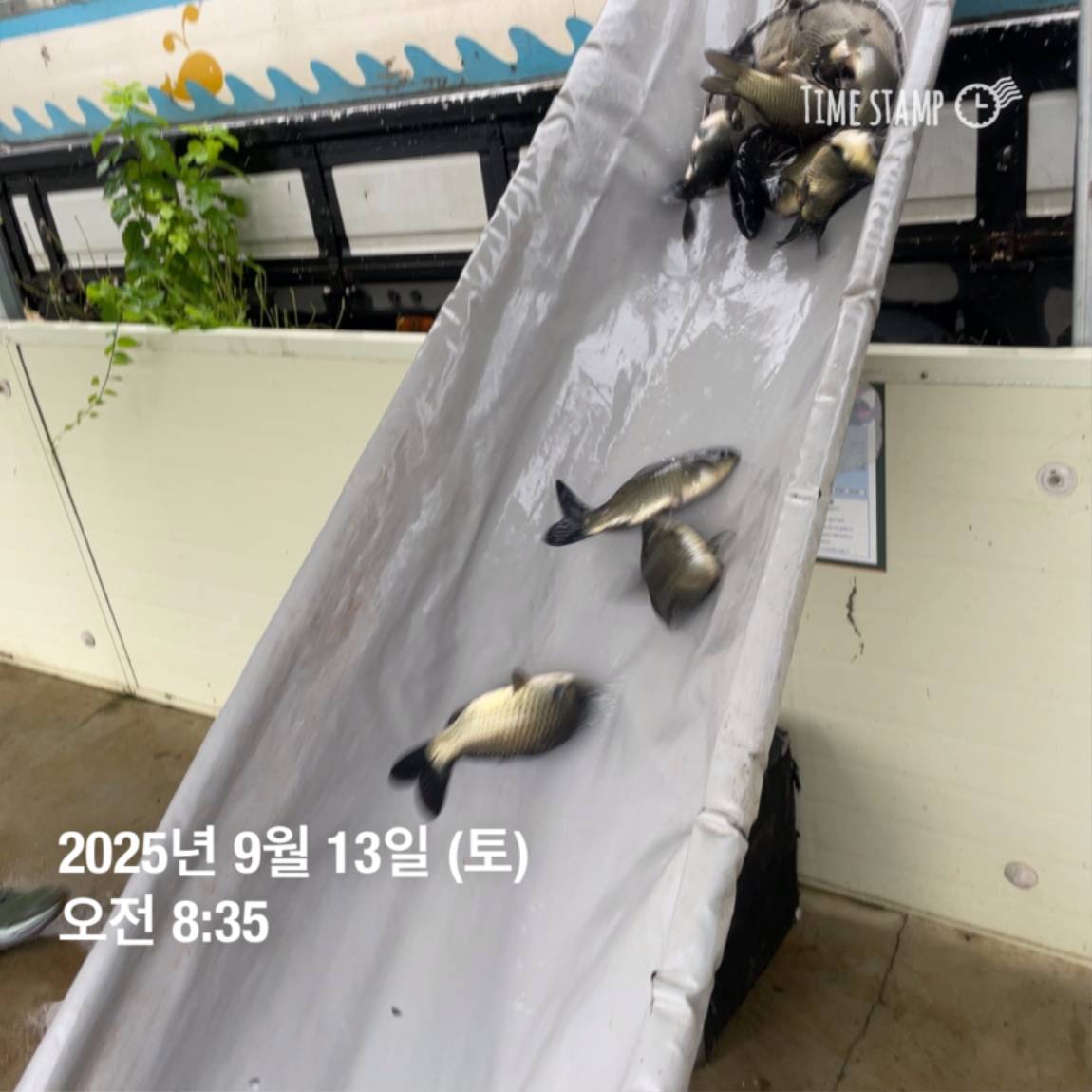 KakaoTalk_20250914_144333252.jpg
