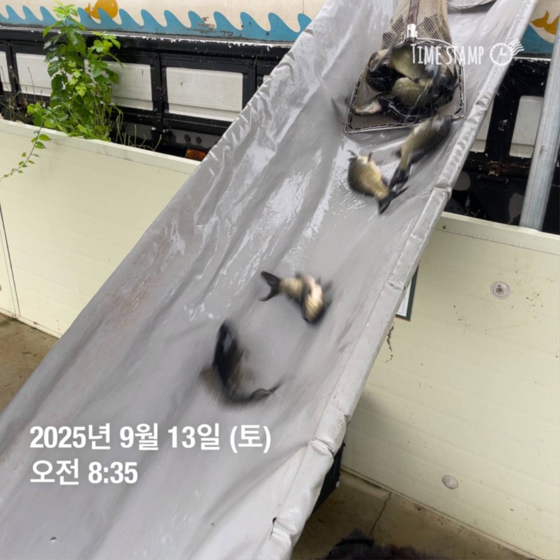 KakaoTalk_20250914_144333252_01.jpg