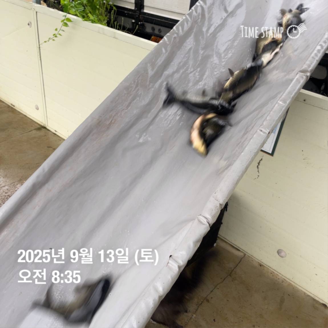 KakaoTalk_20250914_144333252_04.jpg