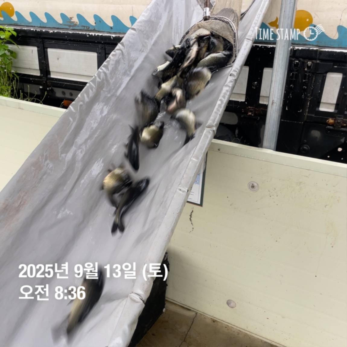 KakaoTalk_20250914_144333252_07.jpg