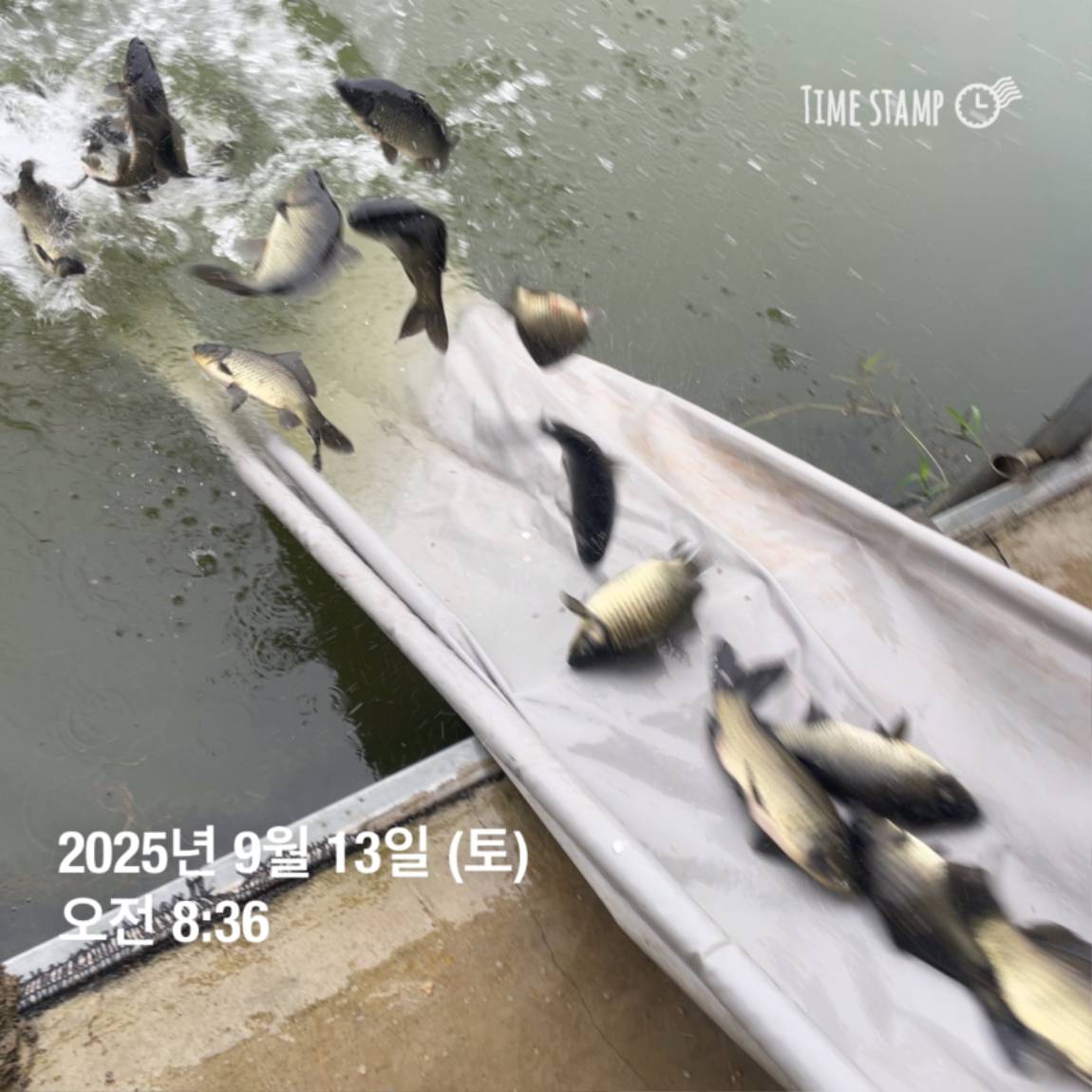 KakaoTalk_20250914_144333252_08.jpg