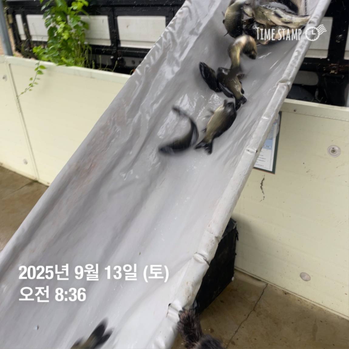 KakaoTalk_20250914_144333252_09.jpg