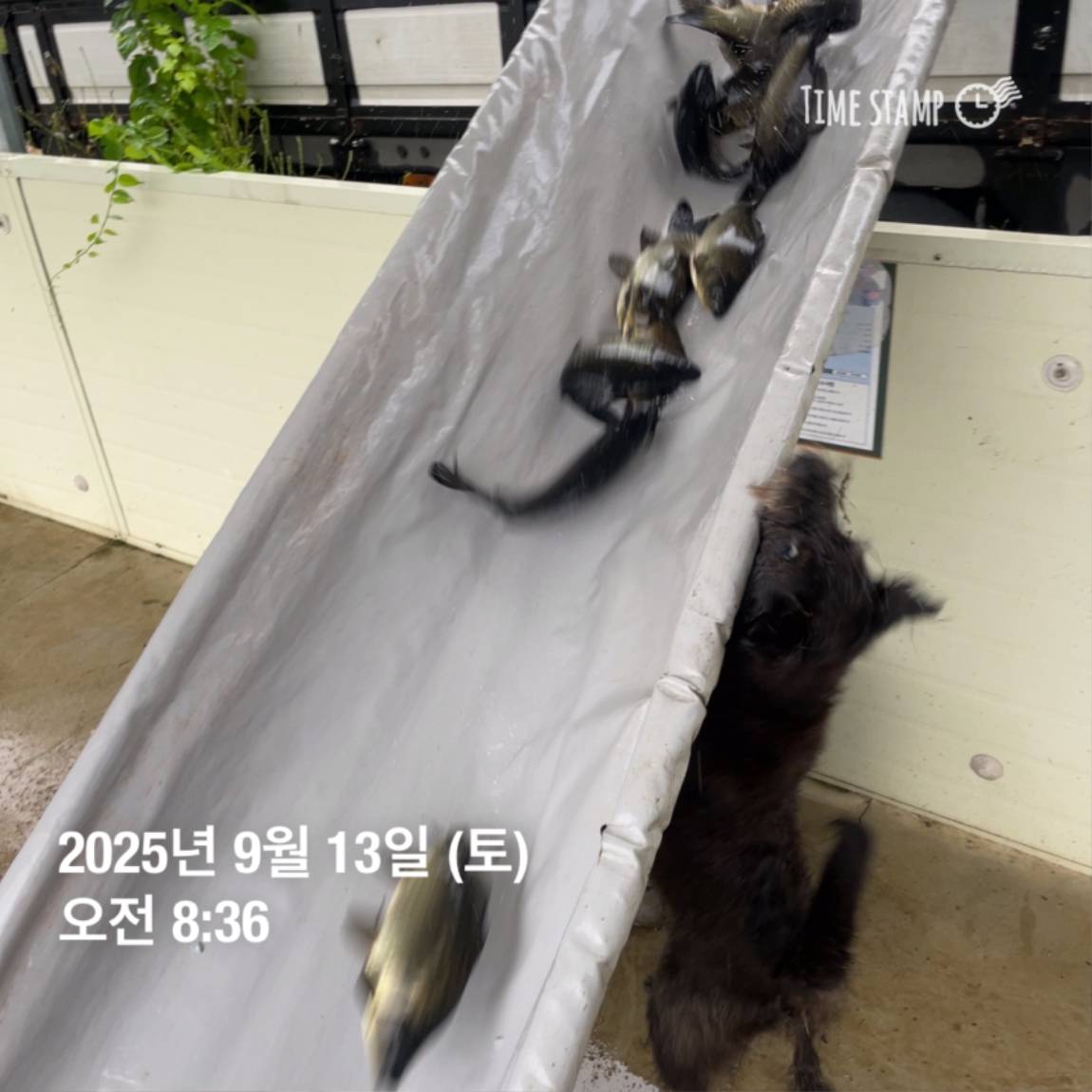 KakaoTalk_20250914_144333252_11.jpg