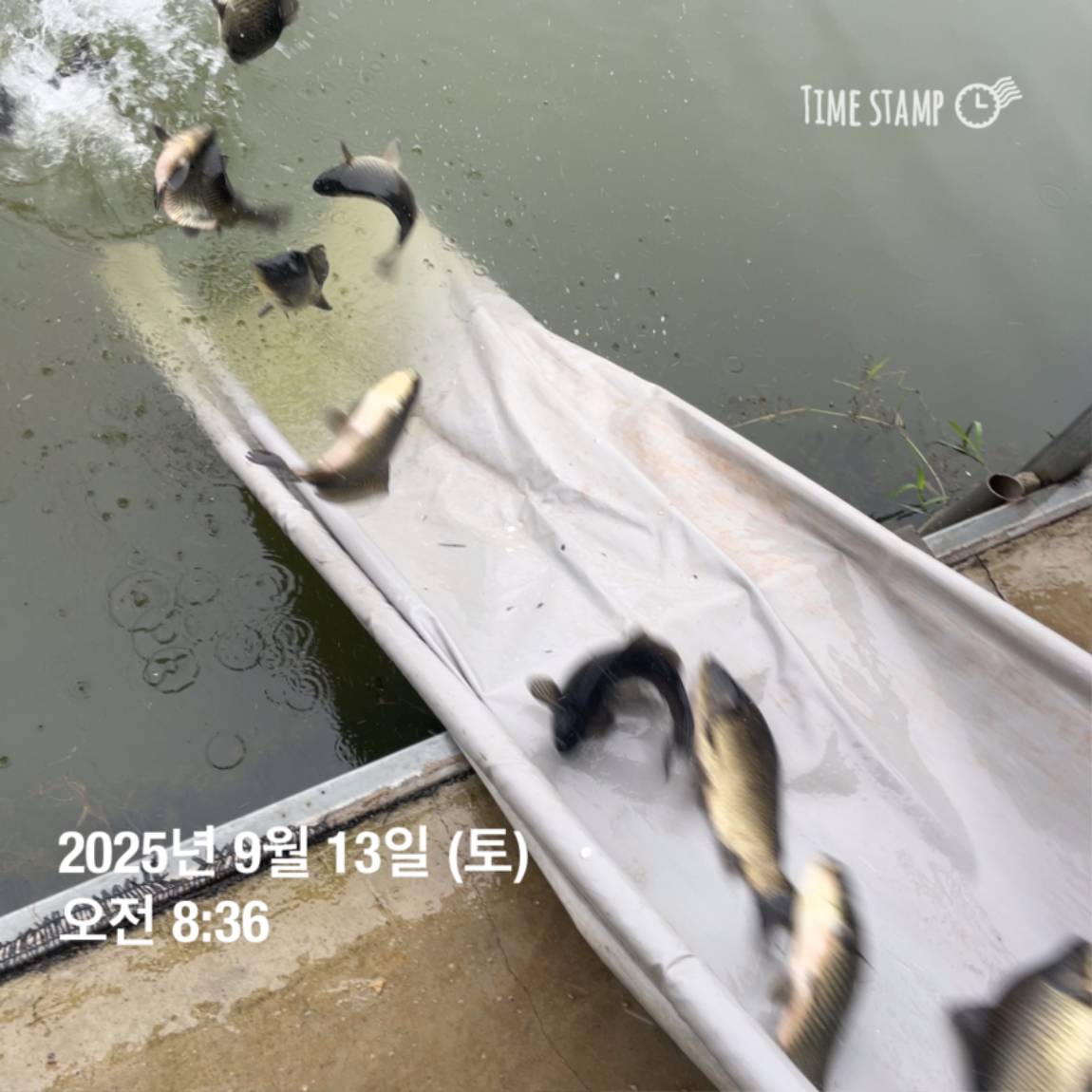 KakaoTalk_20250914_144333252_12.jpg