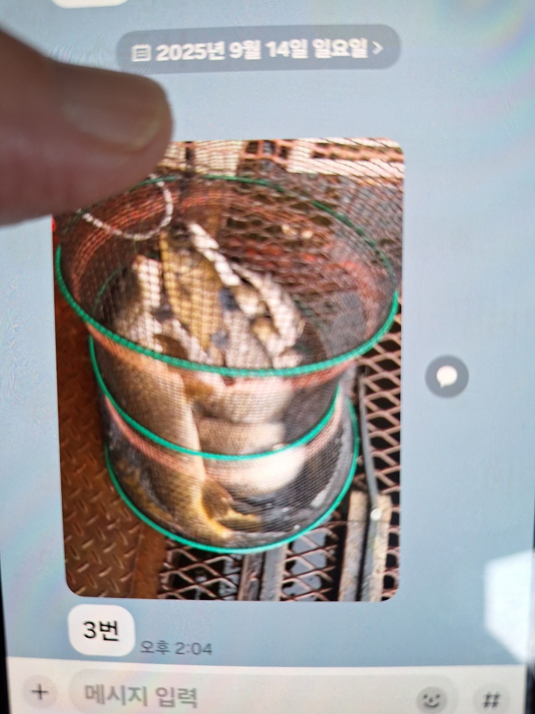 KakaoTalk_20250915_103758004.jpg