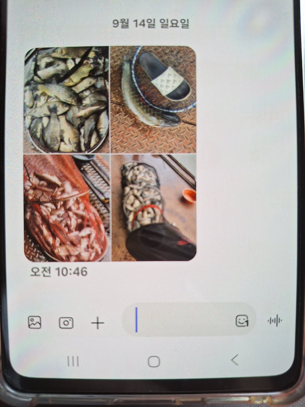 KakaoTalk_20250915_103758004_02.jpg