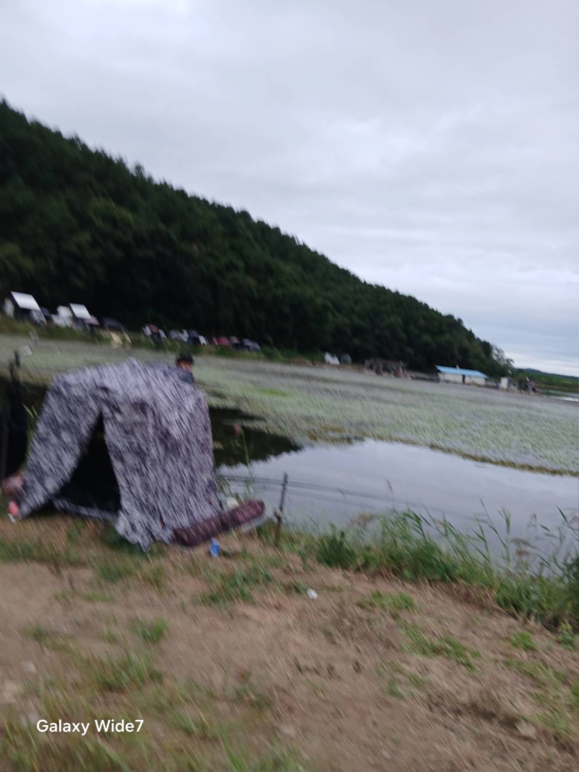 20250913_175201.jpg