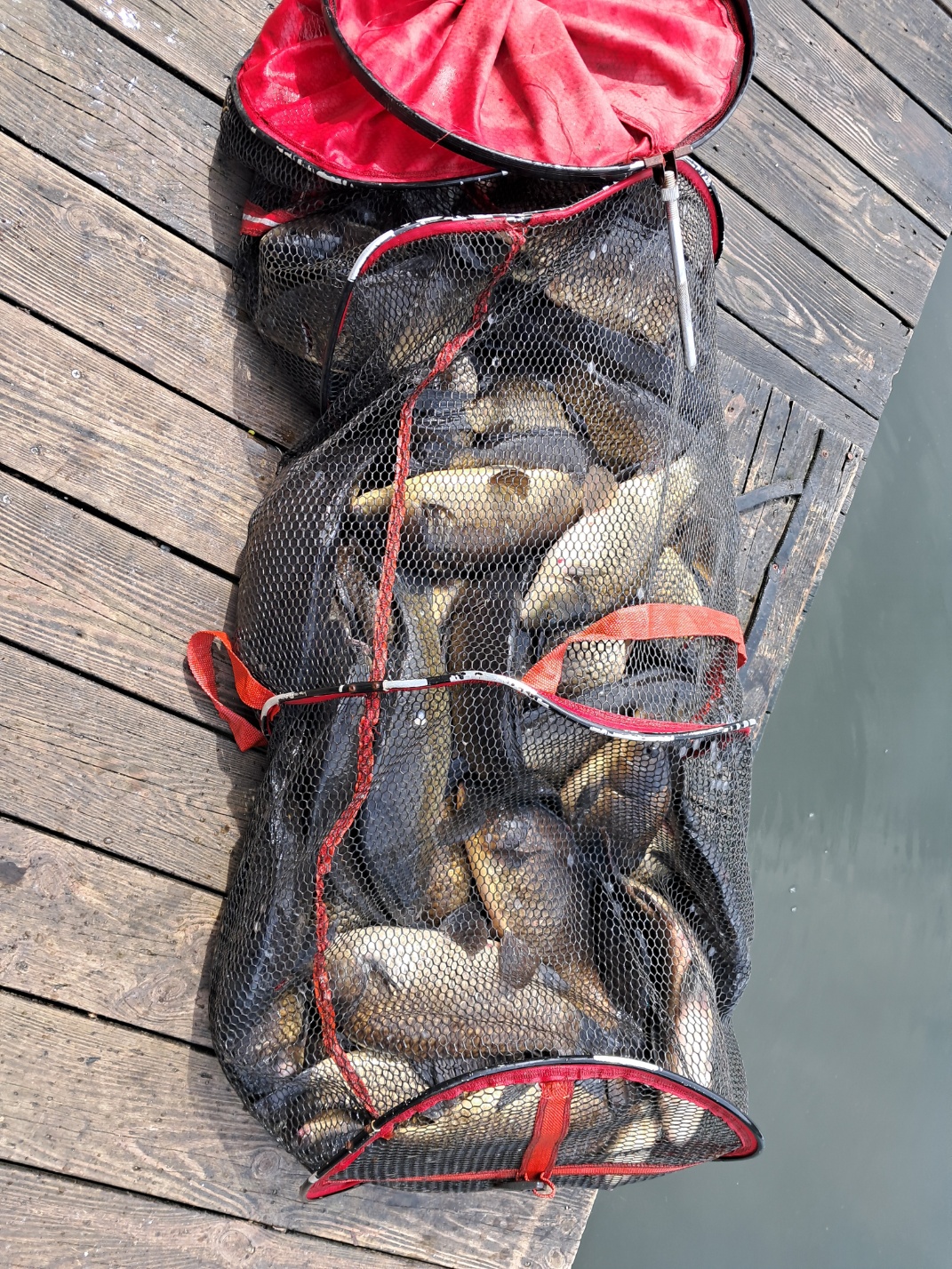 KakaoTalk_20250915_114213781.jpg